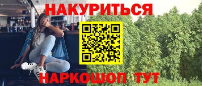 Альфа ПВП Будённовск